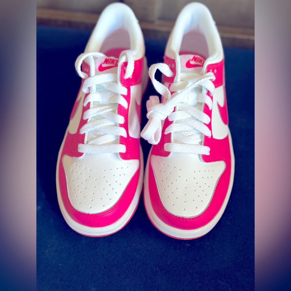 Nike Dunk. NWB